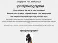 thesingaporepixel.com