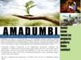 amadumbi.com