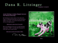 litzingerartwork.com