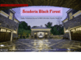 scuderiablackforest.com