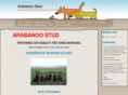 arabanoostud.com