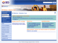 bddiabetes.nl