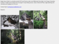 eaglehavencabin.com