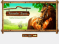 equinetackstore.com