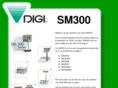 sm300.com