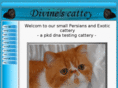 divines-cattery.com