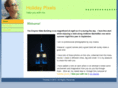 holidaypixels.com