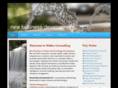 leewalkoconsulting.com