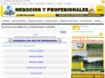 negociosyprofesionales.com