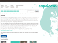 capricornvintage.com