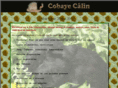 cobayecalin.com