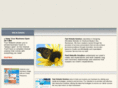 fastwebsitesolution.com