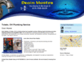 toledodrainmaster.com