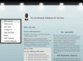 wyvilinfotech.com