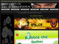 infocusmultimedia.ca