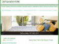 detoxnewyork.net