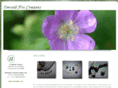 emeraldfox.com