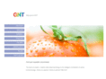 gnt-netherlands.com