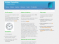 korbee-consulting.com