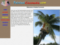 paintedcoconuts.com