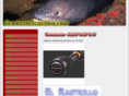 tiendasurfcasting.com