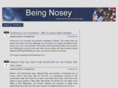 bnzy.net