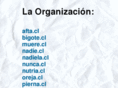 laorganizacion.org