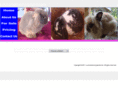luvsomebunnyspecial.com