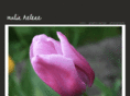 malinhelene.com