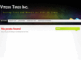 vitesstire.com