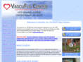 vascuflo.com