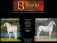 besilucollection.com