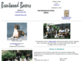 brentwoodboxers.com
