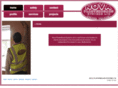 nova-plastering.com