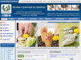 sushischool.net