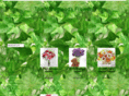 thewoodlandsflowers.org