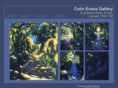 colinevansgallery.com