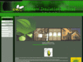 southerninsulationservices.com