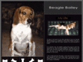 beaglebailey.com