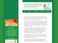 desertspringschiroandpt.com