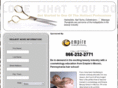 moosicpennsylvaniahairschool.com
