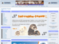 frettchen-forum.de