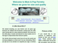 mpferretry.com