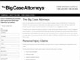 thebigcaseattorneys.com