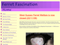 ferretfascination.co.uk