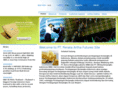 paf.co.id