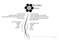pavlides.fr