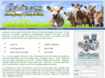 cowpotsicecream.com