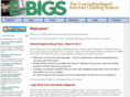 e-bigs.net