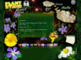 plantstudioflorist.com
